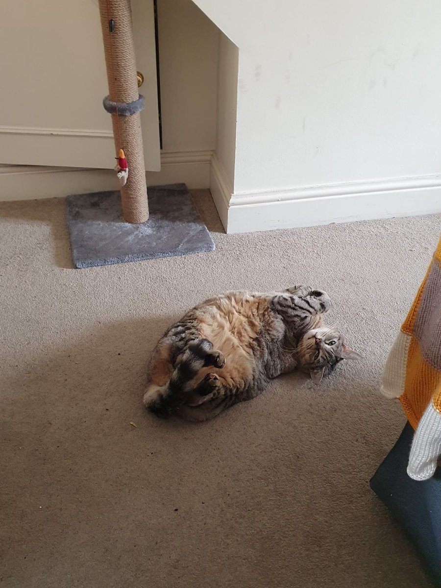 Rose Penfold tweet media