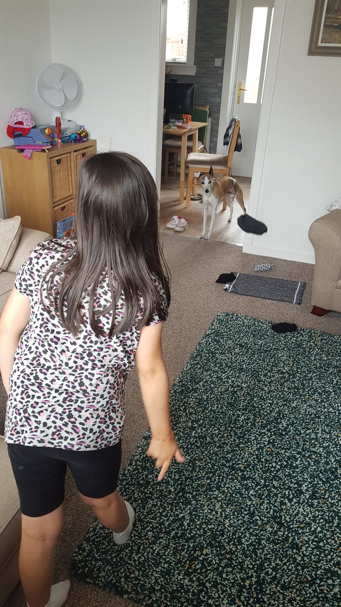 the dog judging the sock throw😂 <a href="/carmuirsprimary/">Carmuirs Primary</a> <a href="/carmuirsp3/">P3 & Miss Pender</a>