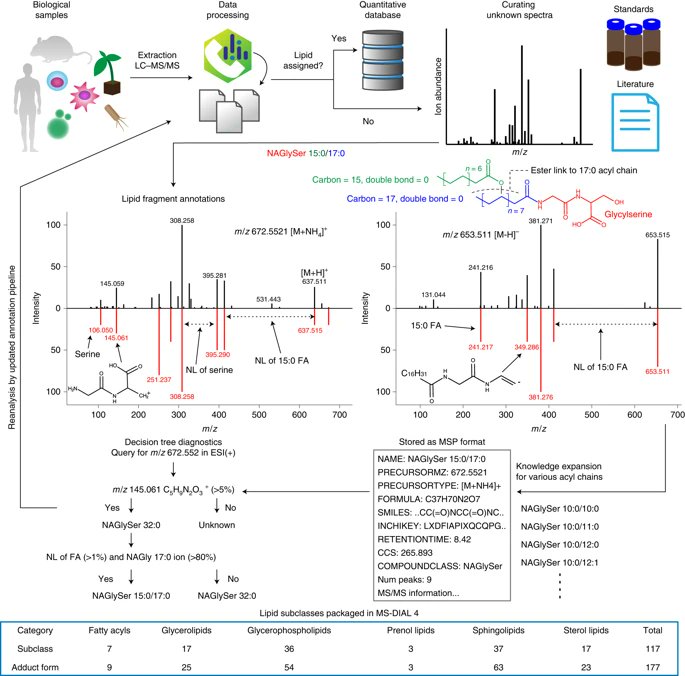 NatureBiotech's tweet photo. A lipidome atlas in MS-DIAL 4 https://t.co/5tUqPLRzfT https://t.co/IHLUGUl6ZZ