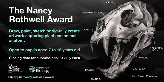 kw_science's tweet photo. 🧪👩‍🔬🧑‍🔬🎨 Are you a lover of art and science? Check out this competition! I know we have amazingly talented artists at Kingsway! https://t.co/ZxzLUAqWjH