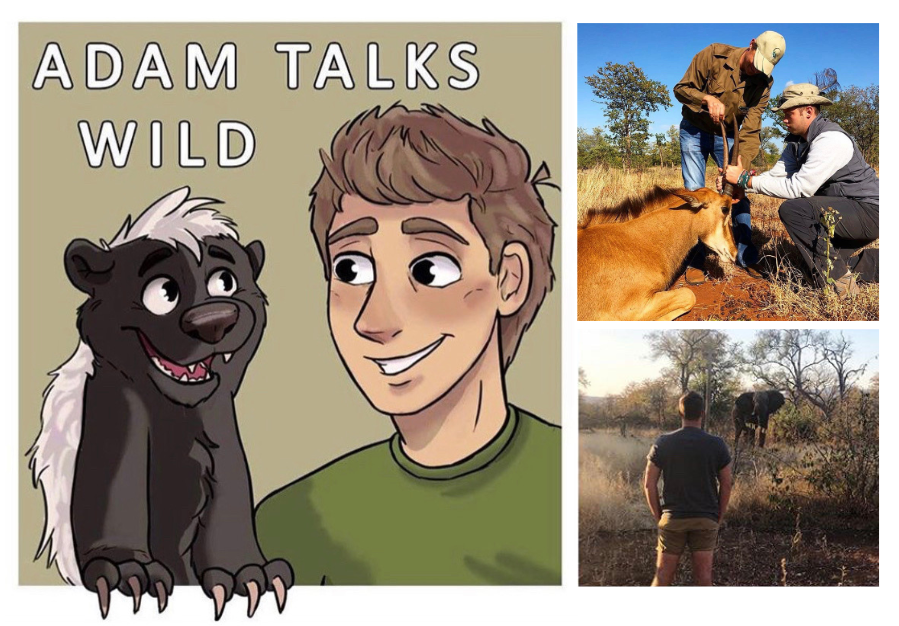 STEMResponseWLV's tweet photo. That's all we've got time for this #WildWednesday.

Thank you so much to @AdamTalkswild for joining us this week! 🦁

Keep up to date with Adam's journey on Twitter, Facebook, &amp; Instagram. Access all his platforms and blogs here ➡️ https://t.co/gViedmAPjA

@wlv_uni #ScienceAtHome https://t.co/uyaLpNu3o9