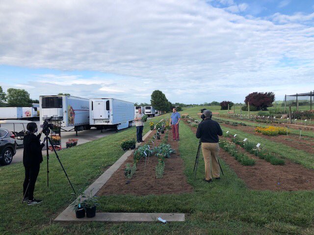 Trial-garden-tour day!! Every year we test the newest varieties of perennials to see how they handle our VA climate. We normally have quite the even for guests to see them all in action. This year we go digital!!#battlefieldfarms #Battlefieldfarmsinc #Iloveplants #growingcolors