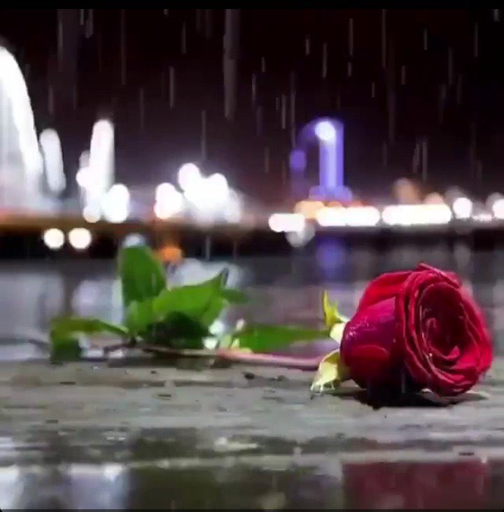 "فضحكت فبشرناها "  يارب بشرى تفرح القلب 💙🌹