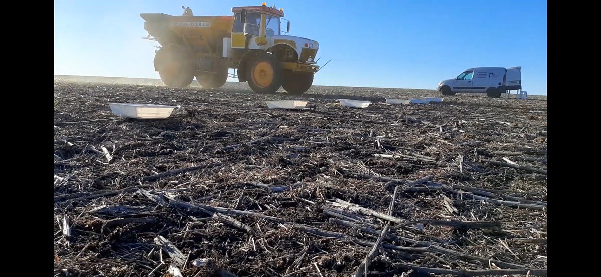 SantiagoTourn's tweet photo. Año con fertilización anticipada, ajustar  detalles al máximo. Semana de puesta a punto y generación  de información. Por más #fertilizacionOK https://t.co/Hv4jgsv5GM