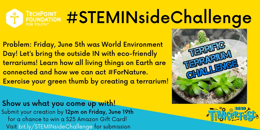 TechPointYouth's tweet photo. Bring the environment inside with our Terrific Terrarium Challenge!🌱🌿🌵
Rules:
🔷Create a terrarium w/ a sustainable container &amp; plants from your 🏡
🔷Must be a K-12th grade student in Indiana 
🔷3 winners will get $25 Amazon gift cards 
More info- https://t.co/zPt1wri3V3
#STEM https://t.co/FEuRJ8m5UT