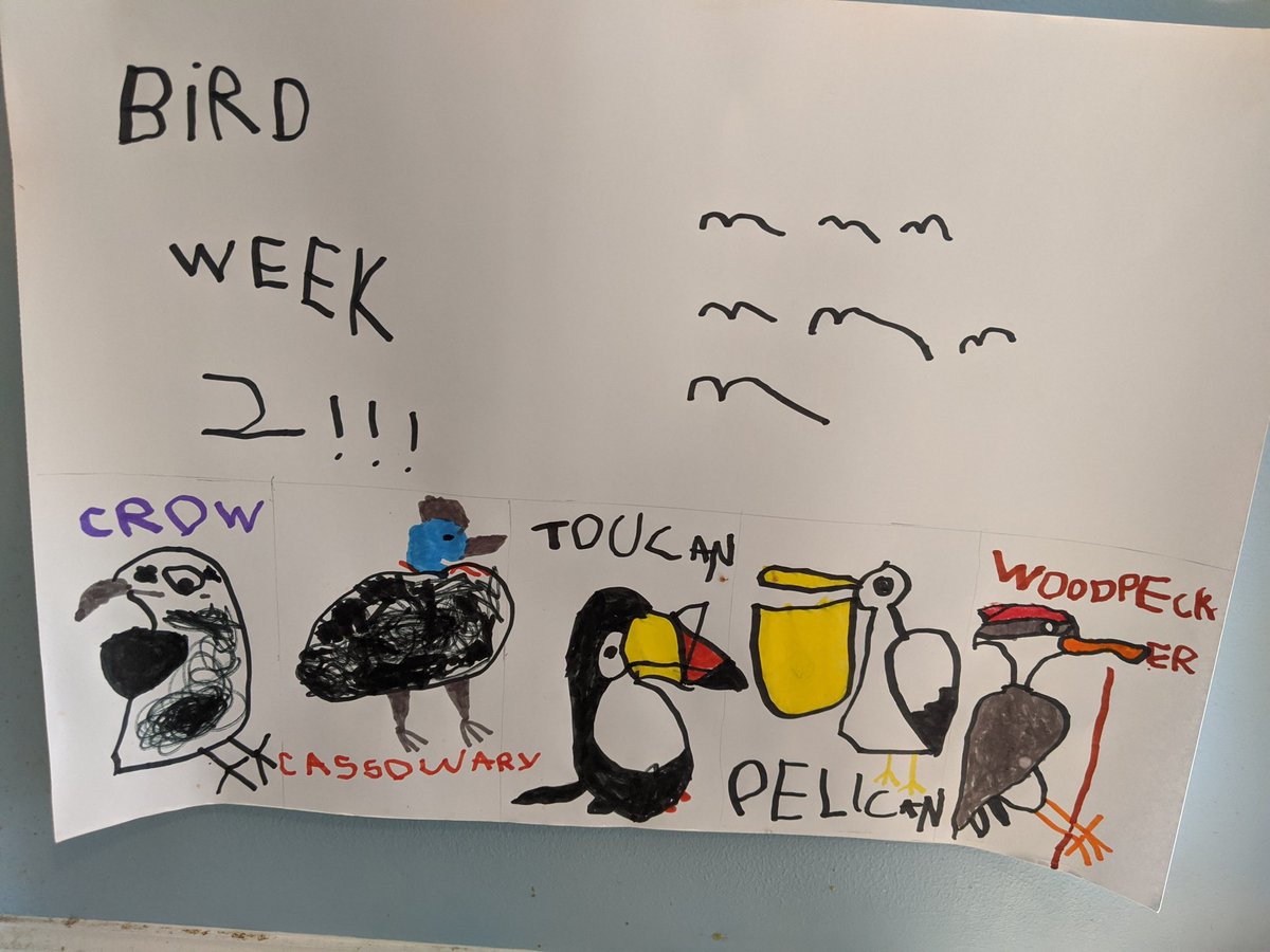 If you want something nice in your feed, here are posters from the last few weeks of the four-year-olds research projects.
