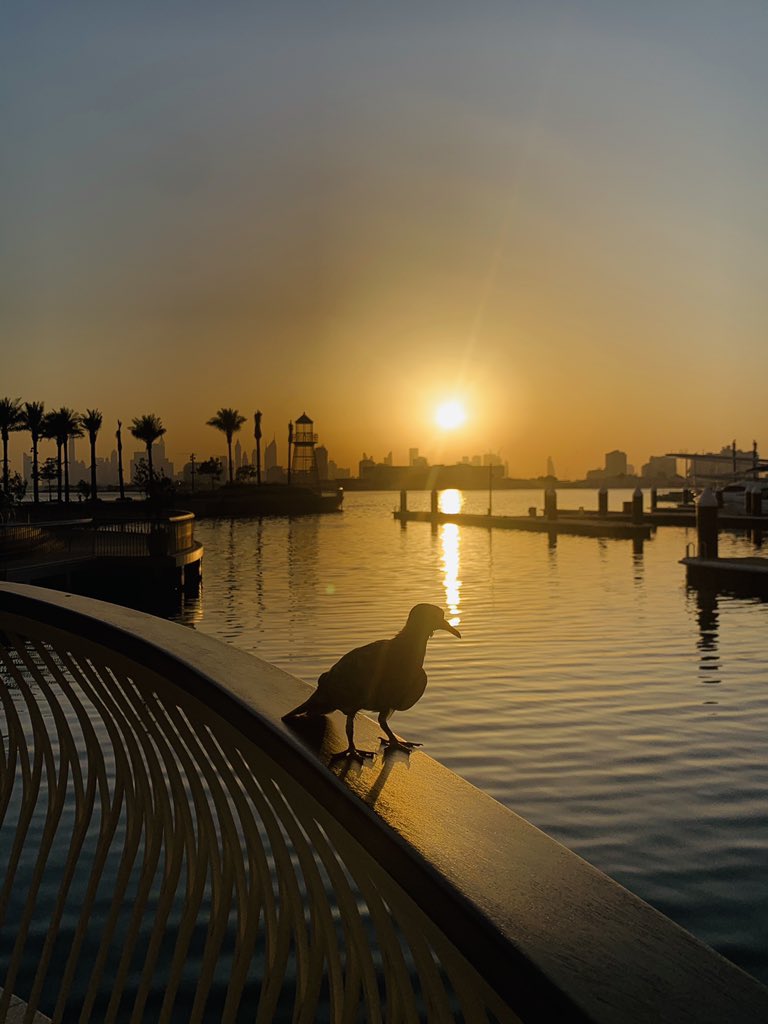 Sunsets are Beautiful 🌅 #DubaiCreek