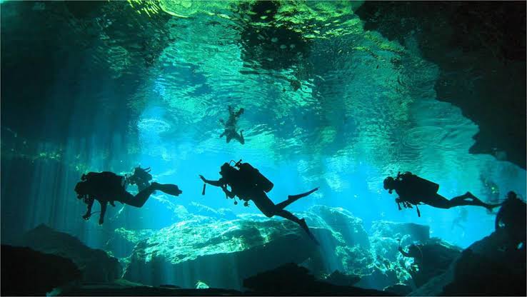 quehaceren_mx's tweet photo. ☀️ #QuintanaRoo está repleto de actividades, como bucear en el cenote #Chacmol

No te lo pierdas!

Solo en #PlayaDelCarmen https://t.co/BSWY4icULA