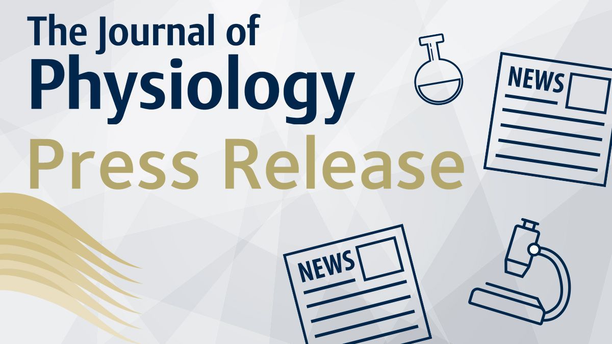 PhySoc's tweet image. Our latest press release from @JPhysiol highlights that just one 60-minute bout of exercise shifted the muscle clocks of mice by around an hour in either direction. Read it on our website now: buff.ly/3e5Vue3