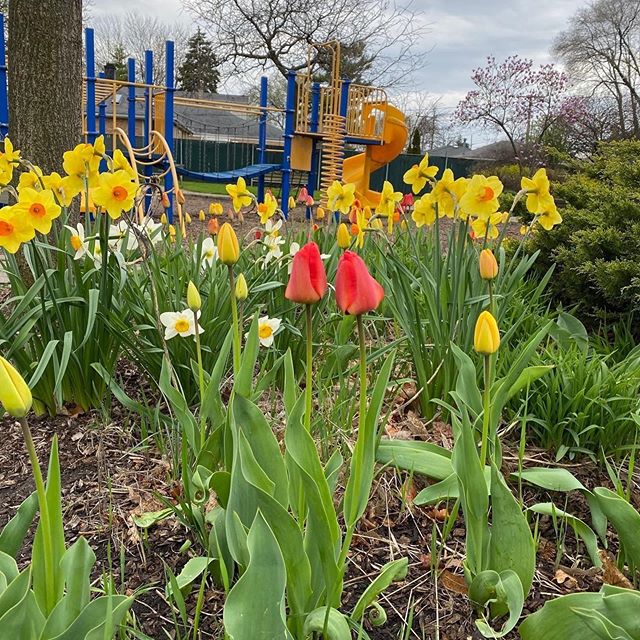 fpparks's tweet photo. One of the best ways to admire nature is to capture it! 🦋🐛🌷#NaturePhotographyDay 📸 • • • #fpparks #parks #parksandrecreation #nature #photography #butterfly #caterpillar #flowers #playgrounds #artsy #franklinpark…
📸 https://t.co/NaJqNItmoY via https://t.co/1oCHuhA4an https://t.co/3rpG7tQ0H1