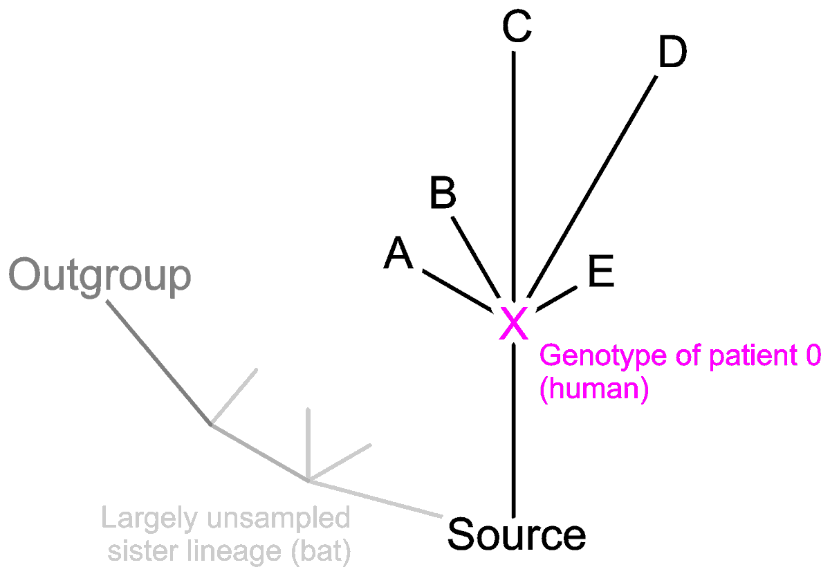 Grimmiges's tweet photo. This week on #GWoN an outline how to set up an analyses of a 30,000 x 30,000 cell matrix to analyse (if you have to) #evolution of #SARSCoV2 genomes (answering a #phylogeny question on the #RAxML google group)
https://t.co/5pf5aaB0EP https://t.co/5NWPHXbLbA