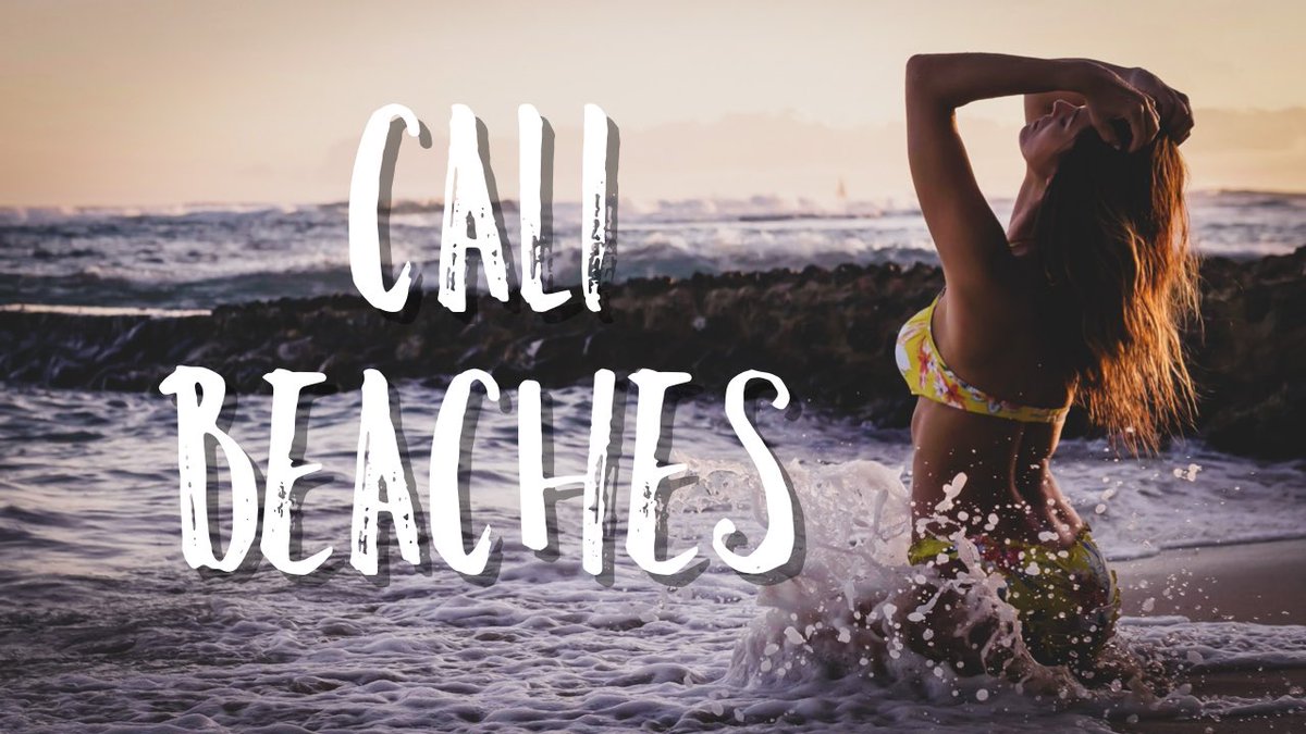 Steph Tayler tweet media