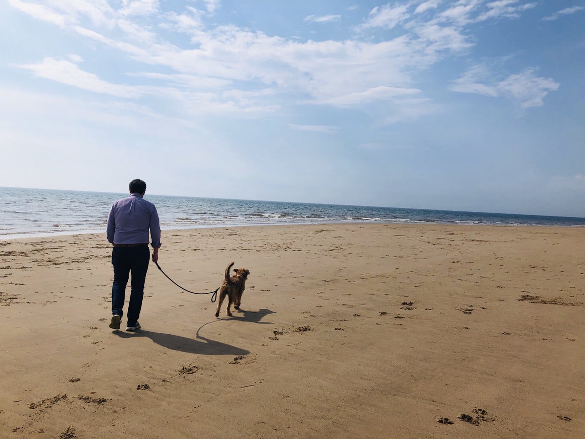 IrishTerrier's tweet photo. Ooh a luffly walk by the sea to blow the cobwebs away with Dad - wind in our beards and sun on our backs 🌊 ☀️🐾 #MondayVibes #Lancashire #poochlife https://t.co/popy9l1lFX