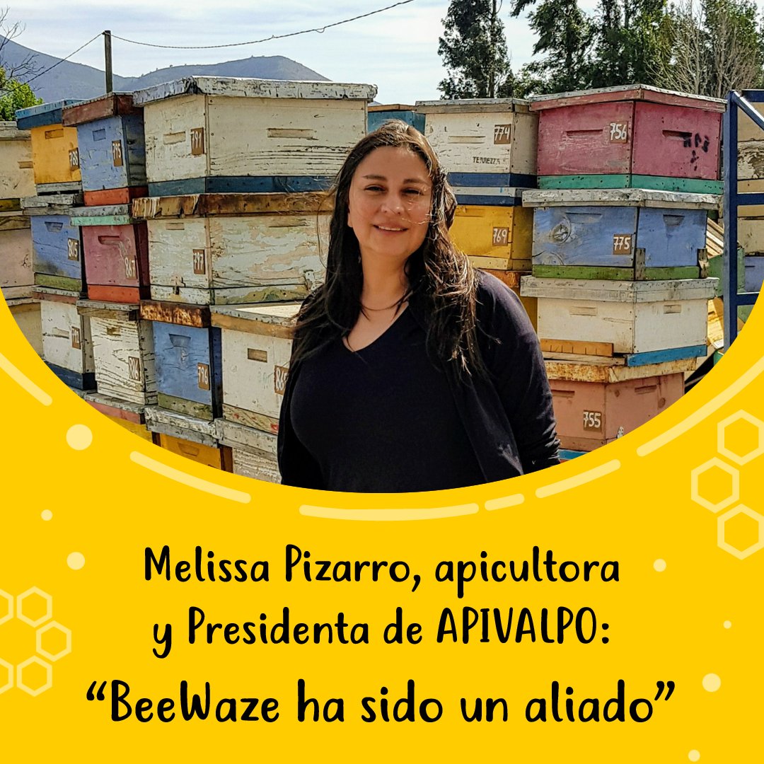 ¡Gracias <a href="/meliptapia/">Melissa pizarro tapi</a> por la conversación! Puedes leer la entrevista completa aquí: beewaze.com/2020/06/14/mel…
Melissa es #apicultora y Presidenta de APIVALPO. Escuchar a los emprendedores y conocer sus experiencias nos inspira.
#BeeWaze #miel #abejas #apicultores #apicultura