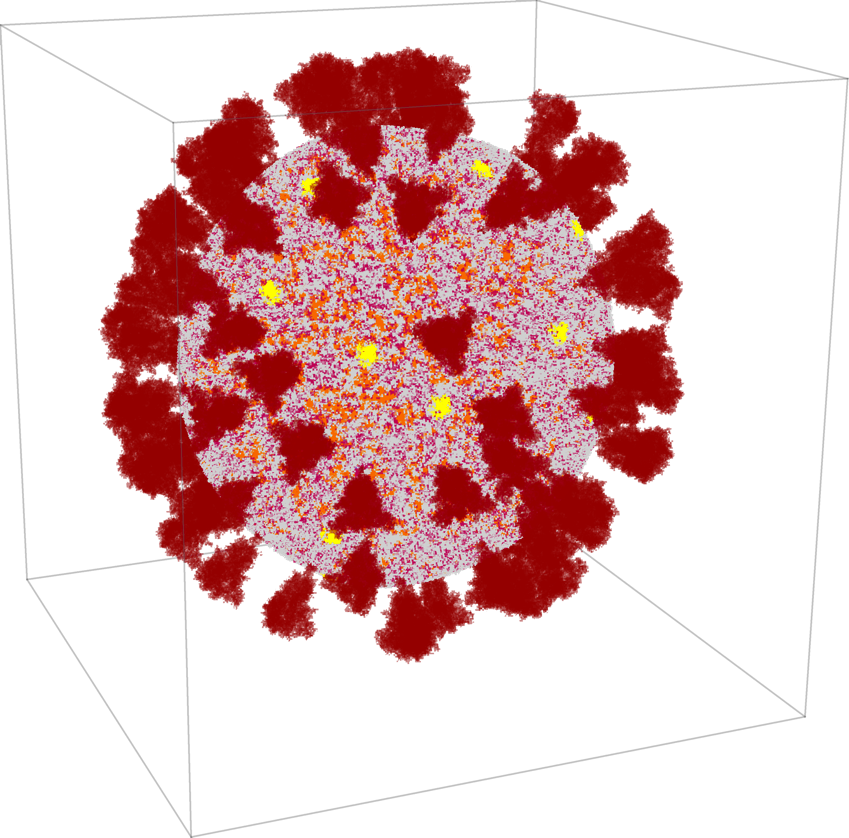 WolframResearch's tweet image. Jeff Bryant guides us through the process of using #Wolfram Language to transform a dataset into a #3Dmodel of the SARS-CoV-2 virus in his latest #WolframCommunity post. See his code and learn more here: wolfr.am/NeKmOfnh
