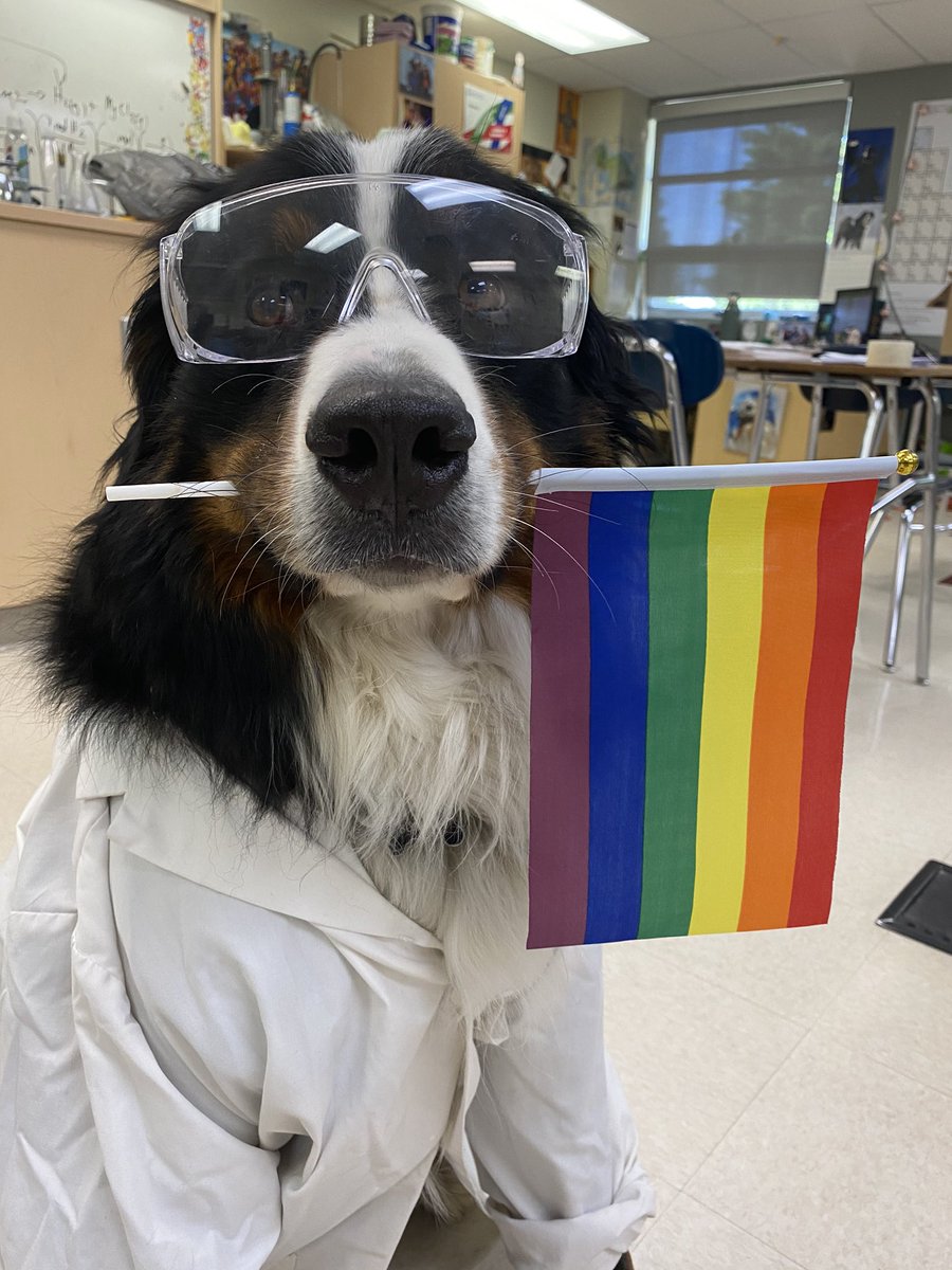 bunsenbernerbmd's tweet photo. Dogs love humans unconditionally.
It’s impawtant to let humans love each other the same way.  
Love will always win.
Always.
#PRIDE2020 #PrideMonth #dogsoftwitter https://t.co/WVsnWB1AfM