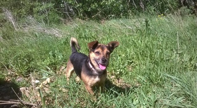 Neska64 ✴☮️❤️😍💜♀️🐶🐹🦁 tweet media