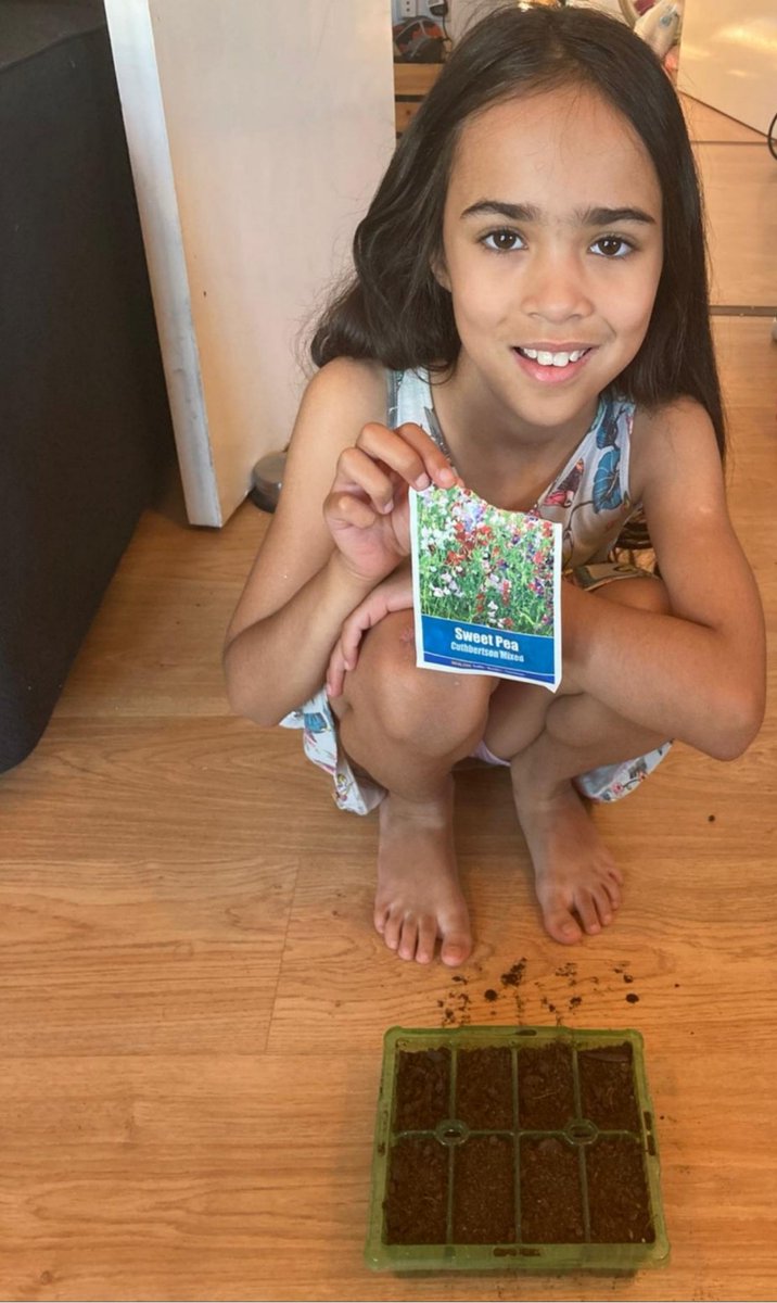 SpringCPS's tweet photo. Check out some of year two's amazing, science home learning. They have been growing various plants (beans, watercress and even flowers), observing them daily and sharing their finding with one another. I wonder what changes will occur in the next few days. https://t.co/o2zdiXLvIm