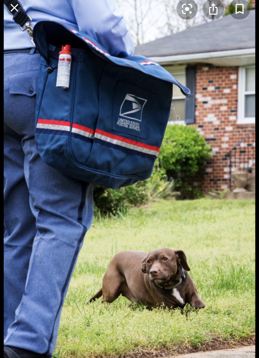 🚨Public assistance needed for🚐USPS National Dog Bite Awareness Week🐕June 14-20. USPS continues its tradition of calling attention to this public health issue. Our campaign theme is “Be Alert: Prevent the Bite.” For information visit about.usps.com/newsroom/local…