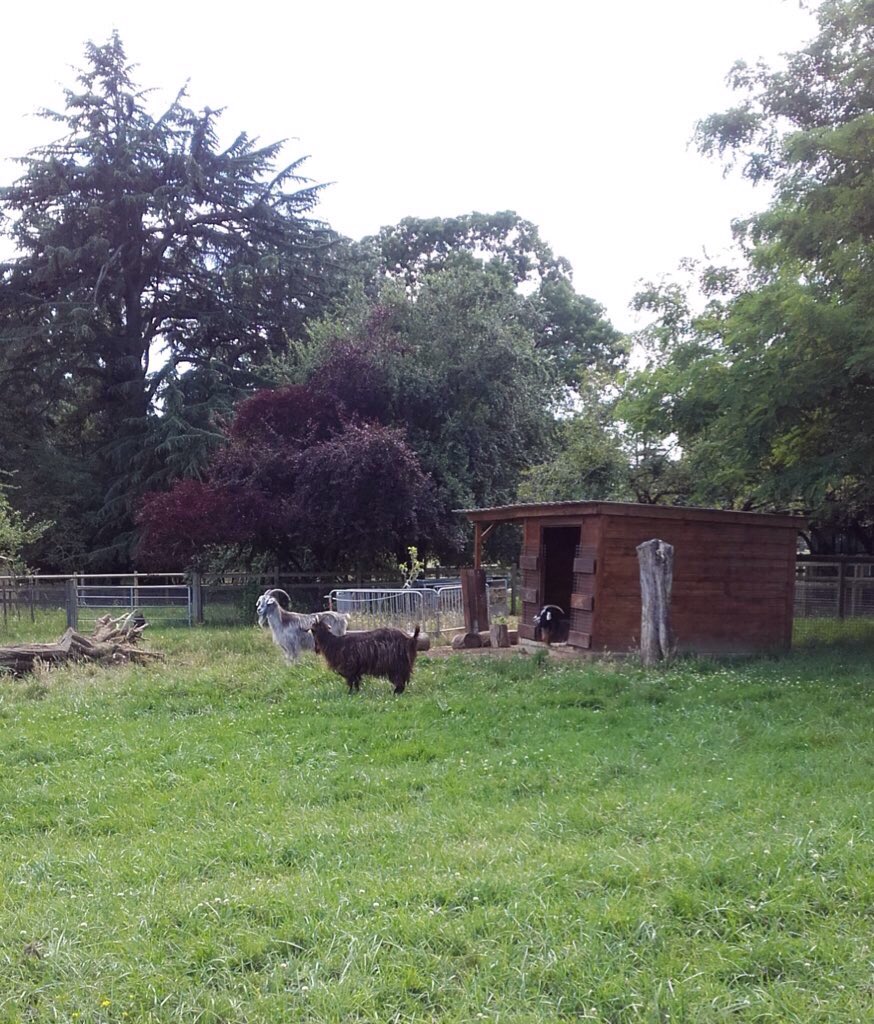 SergeAhmed's tweet photo. This is for you @superkash from Lormont, near Bordeaux https://t.co/1TaDZA3Q2i