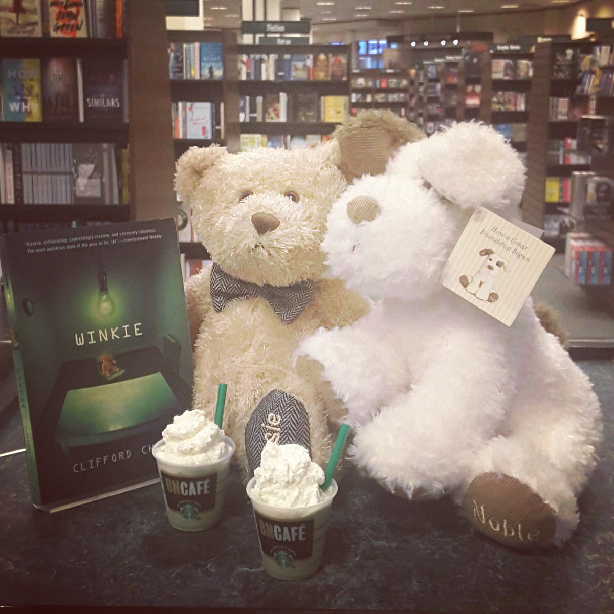 Barnsie & Noble are reading the tale of Winkie. A bear magically willed to life and caught in the American justice system. #FREEWINKIE #starbucks #Frappuccino