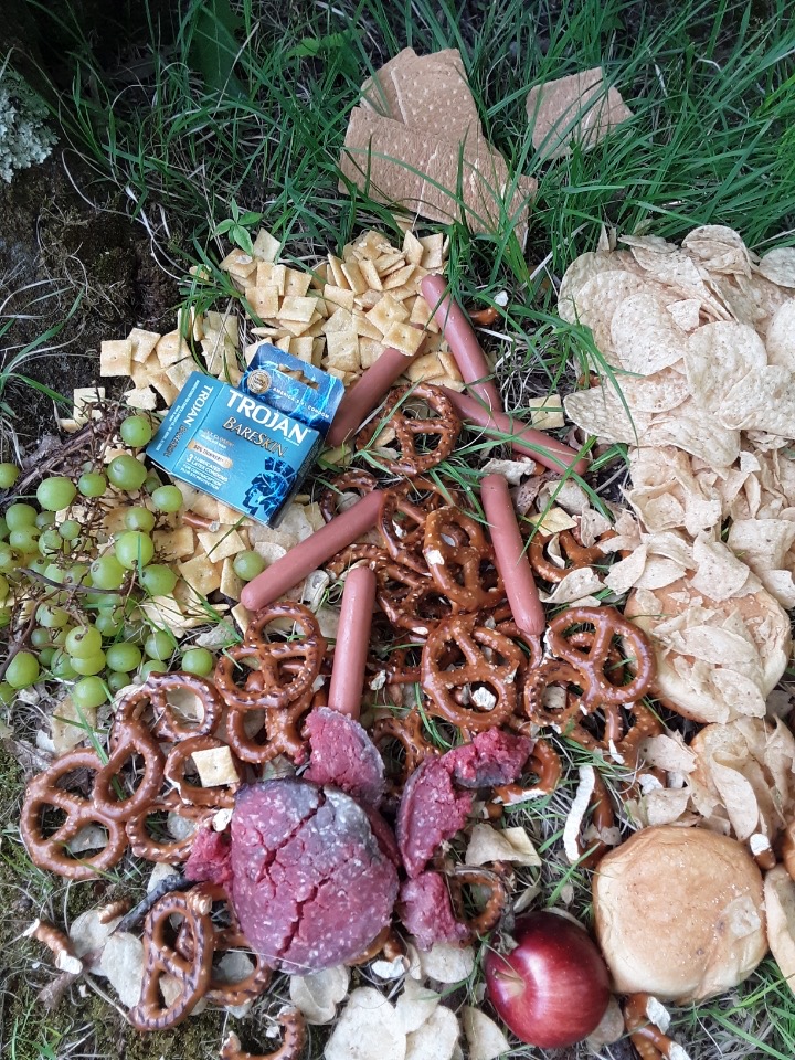 HoliMont had a few FLT hikers grace our property with this mess last week.  Please pack in what you pack in. #Respect