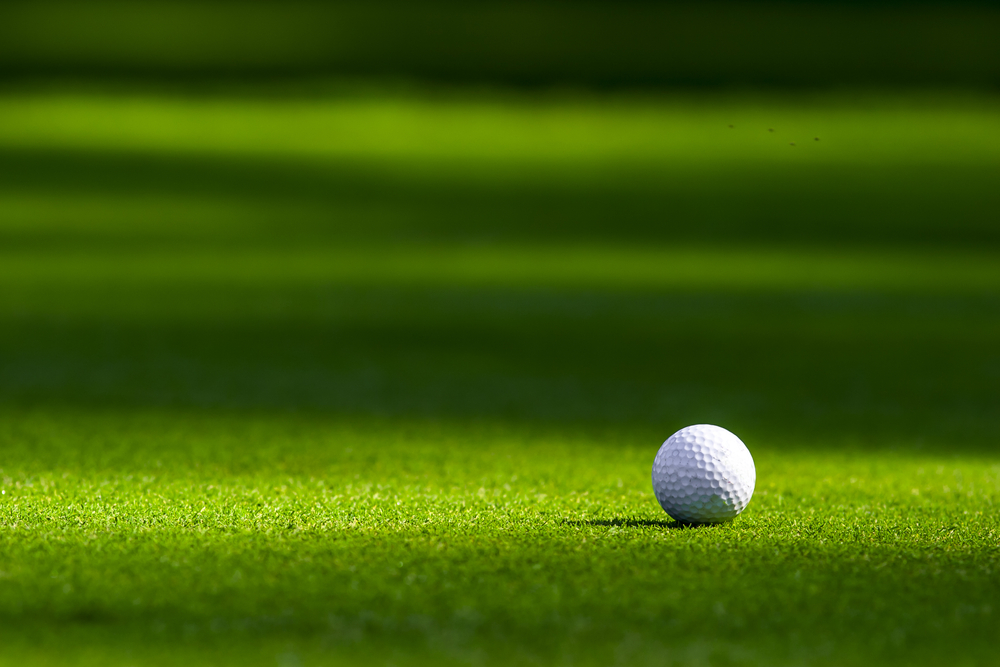 lefaviwealth's tweet photo. Golfing is a great way to get outside, enjoy the game and maintain social distancing! What are some of the best places to golf in Utah?
#golf #golfing #golfinginutah #utahgolf #topten #bestof #utah #recreation #lefavi #saltlakecity #parkcity #countryclubs https://t.co/UC6oCArAMe