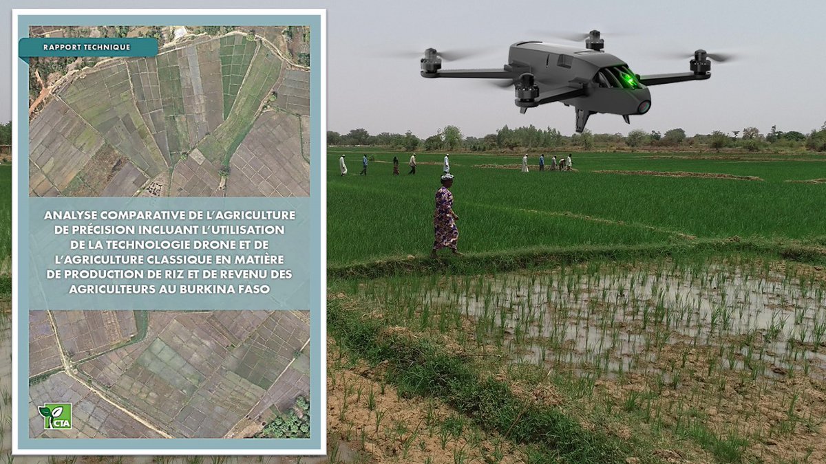 Un projet de recherche financé par le CTA et conduit par #INERA et <a href="/eGeo_bf/">Espace Géomatique 🇧🇫</a> au #BurkinaFaso, a démontré que l’utilisation des #drones permet aux petits agriculteurs de mieux maîtriser les coûts de production du riz irrigué et d’optimiser les rendements tinyurl.com/ycb623p5 🌾