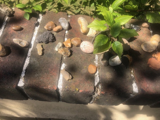 Check out "Connect with nature now! - Mindfulness walking in nature (now on zoom)" eventbrite.com/e/connect-with… @Eventbrite