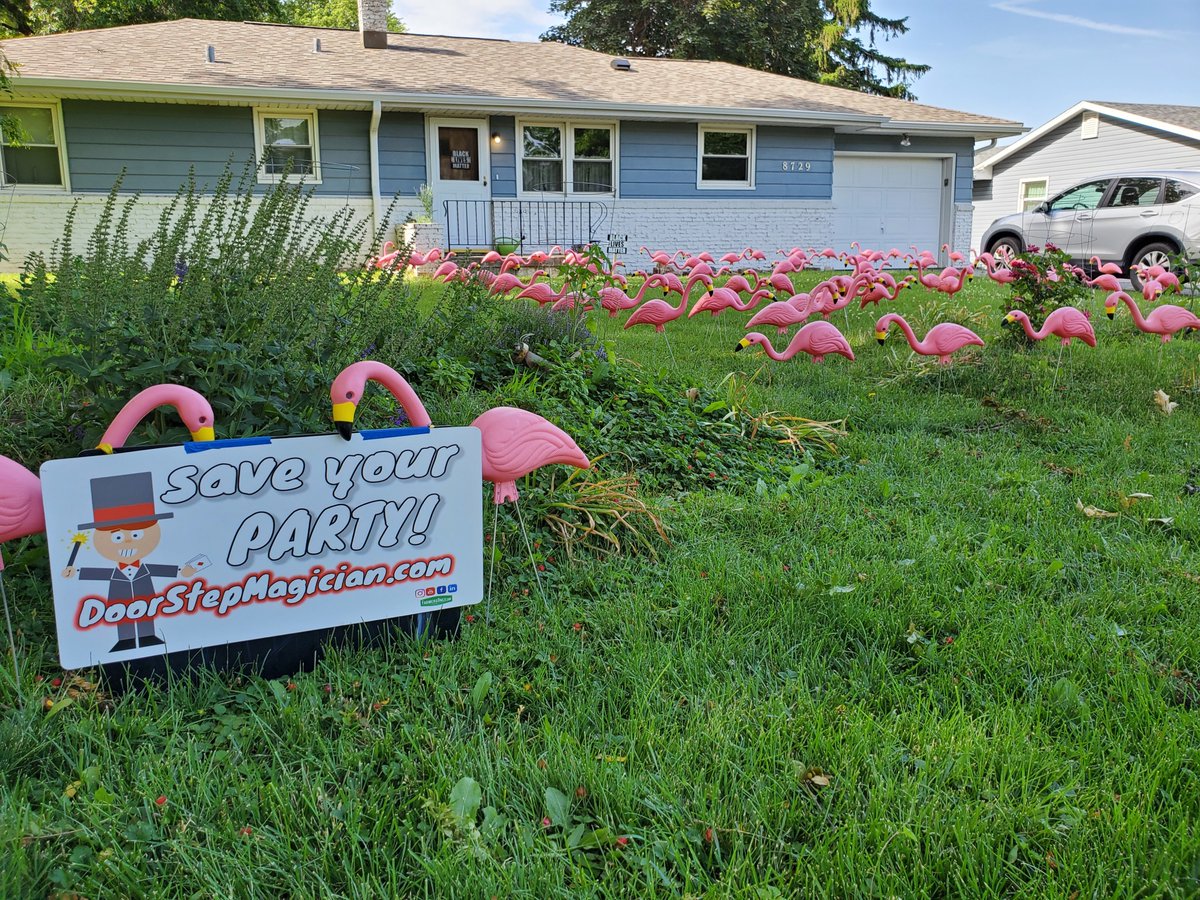 The Flamingos have flown to another lawn!

#omahayardart #omaha #yard #omahapartyideas #flamingos #wtflock #happybirthday #birthday #happy #summer #ideas #lawnart #card