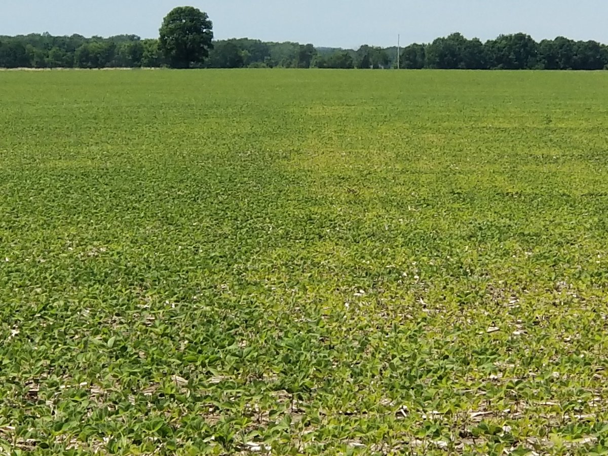 Tim Jordal tweet media