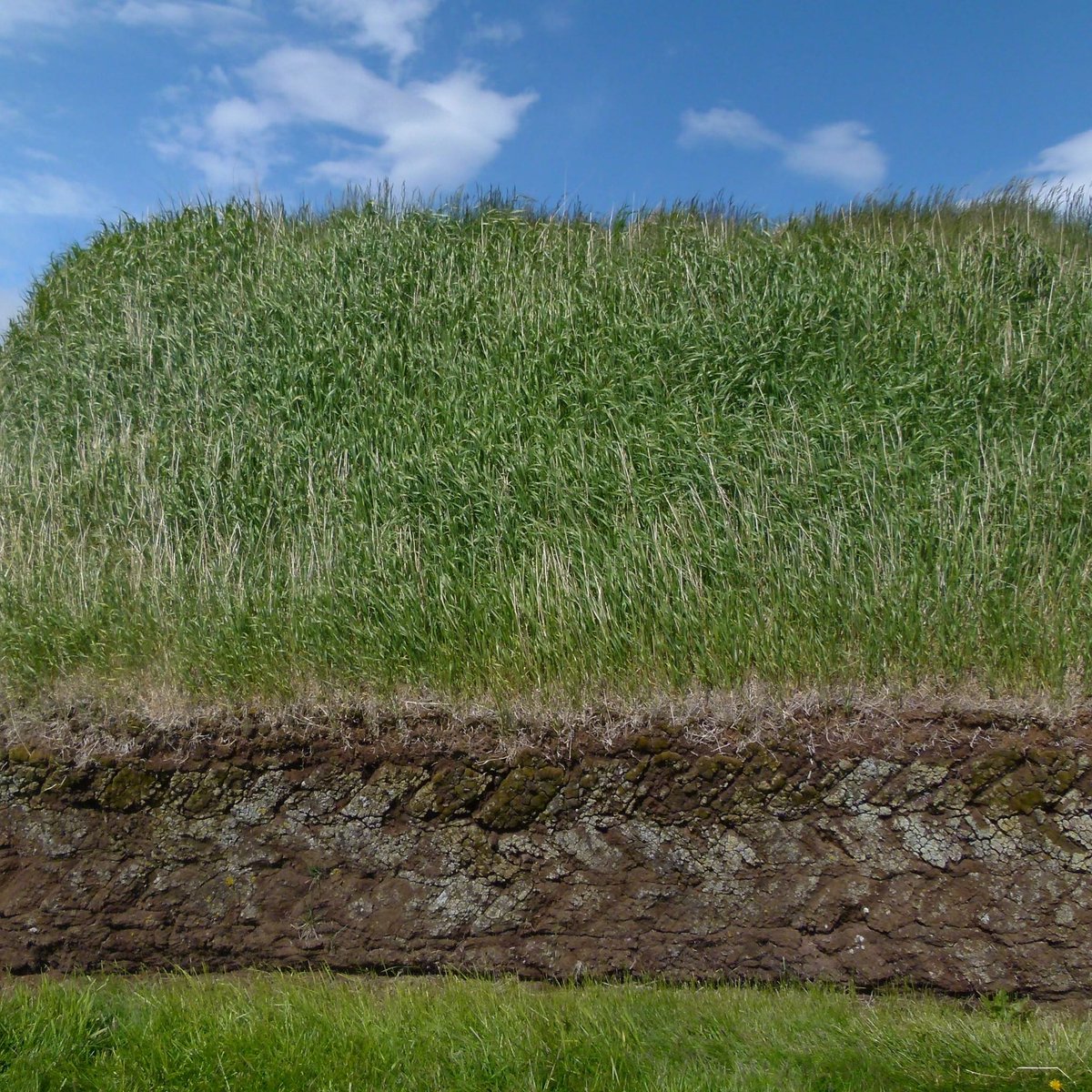 Once ubiquitous throughout Northwest Europe, we now look to Iceland for examples of turf construction. How is this for an elevation?⁠
<a href="/archnetscot/">@ARCHnetScot</a> <a href="/EarthBuildingUK/">EBUKI</a> <a href="/EUErasmusPlus/">Erasmus+</a> #Glaumbær #Skagafjörður #Iceland #vernacular #turf #building #elevation
