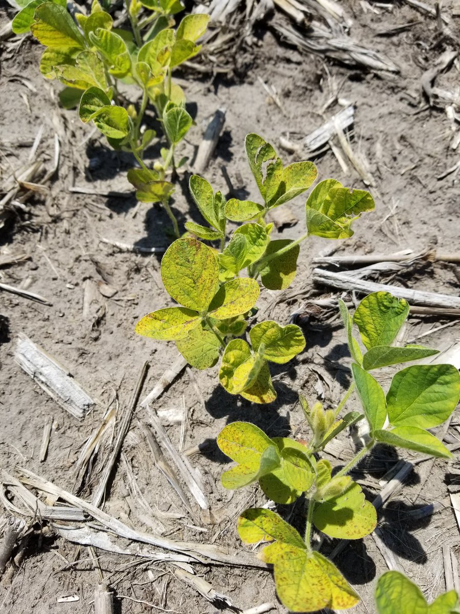 Tim Jordal tweet media