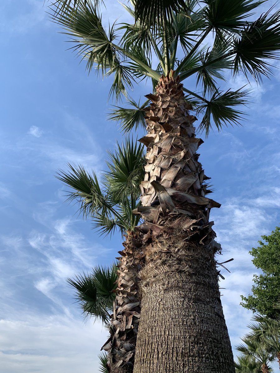 Her şey yolunda hissi