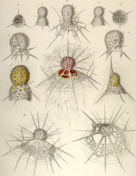 JonangusMackay's tweet photo. ◾The universe does not have laws. It has habits.
And habits can be broken
https://t.co/9pVrmU5Fjr
#MorphicResonance #RupertSheldrake #anarchism #complexity #zenarchy https://t.co/2nLGcZGTqV