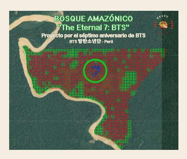 BTSxWisconsin's tweet photo. A Peruvian BTS fan club, BTS_Peru, has adopted six hectares (approx 15 acres) of forest in the Amazon Rain Forest. The acreage forms a number "7" on the map and was named "The Eternal 7: BTS".
Way to show your love of Bangtan BTS_Peru!! 🌱💚
#PeruArmy https://t.co/HkZiHj6P7d