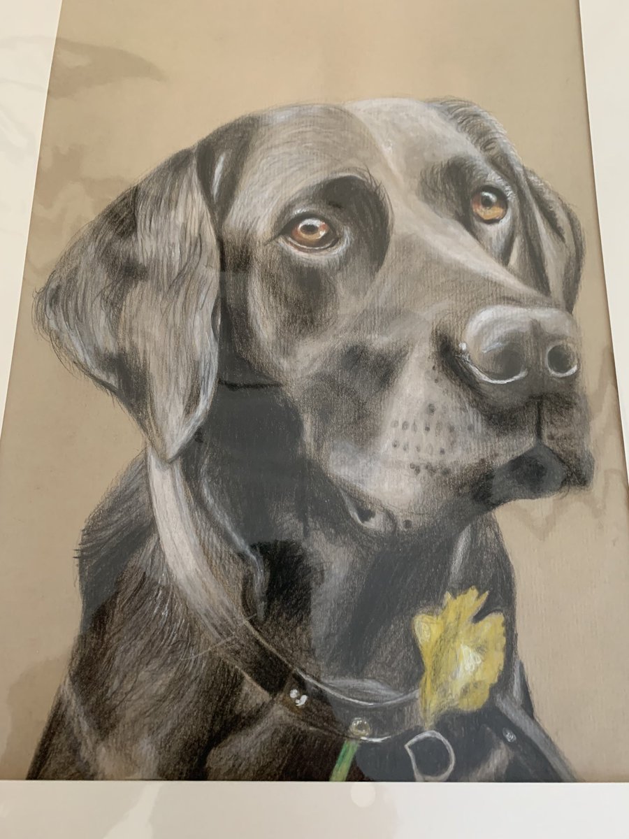 Nick@ the Phi Centre tweet media