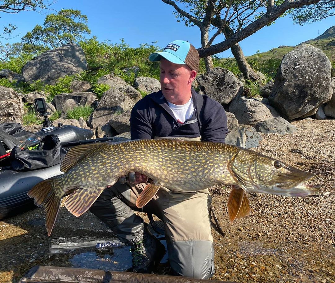 ScotlandAngling's tweet image. It takes a certain kind of person to catch a specimen like this.  What an absolute cracker!!! 
​
​📷@vongumbo
​
​Join the #anglingscotlandclan right across social media.  Link in our bio @anglingscotland
​
​#pikeonfly #pikeflyfishing #esox