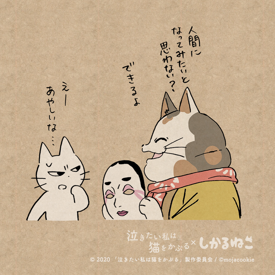 あやしいお面屋としかるねこ
#泣きたい私は猫をかぶる #泣き猫 #PR
@nakineko_movie 