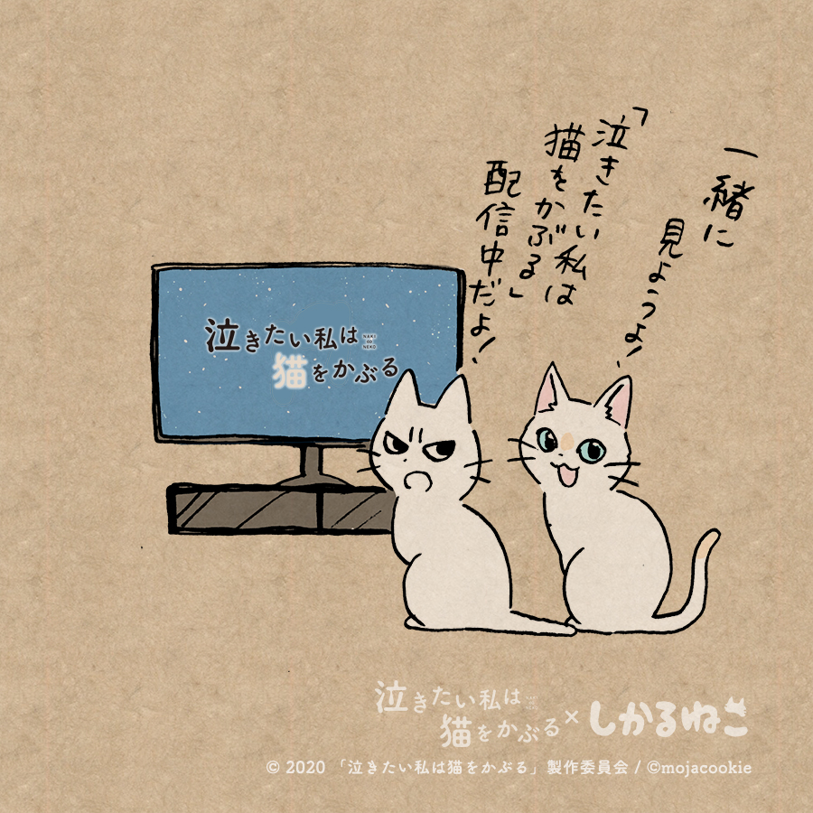 このごろ気疲れが溜まってる人と 太郎と しかるねこ
#泣きたい私は猫をかぶる #泣き猫 #PR
@nakineko_movie 