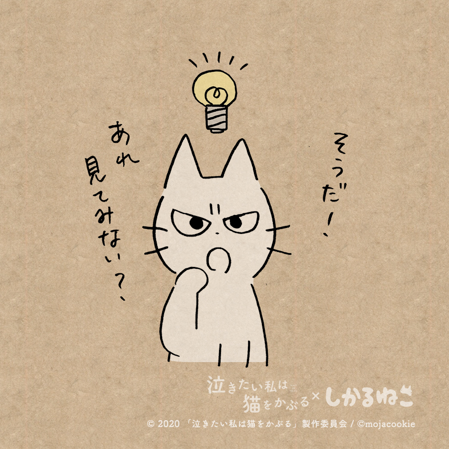 このごろ気疲れが溜まってる人と 太郎と しかるねこ
#泣きたい私は猫をかぶる #泣き猫 #PR
@nakineko_movie 