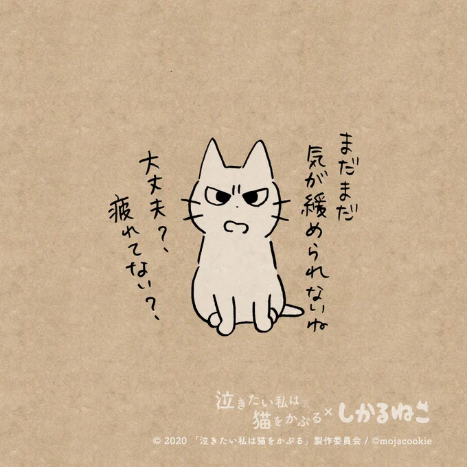 このごろ気疲れが溜まってる人と 太郎と しかるねこ#泣きたい私は猫をかぶる #泣き猫 #PR 