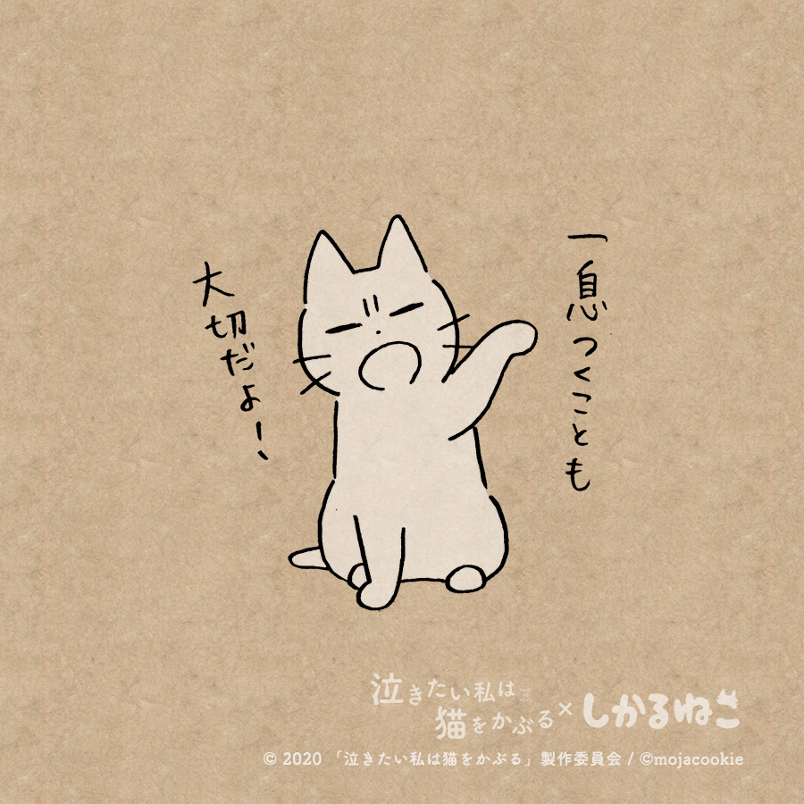 このごろ気疲れが溜まってる人と 太郎と しかるねこ
#泣きたい私は猫をかぶる #泣き猫 #PR
@nakineko_movie 