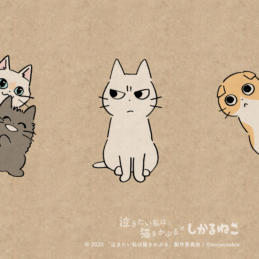 太郎と 泣き猫の仲間たちと
しかるねこと あまやかすねこと ながめるねこ
#泣きたい私は猫をかぶる #泣き猫 #PR
@nakineko_movie 