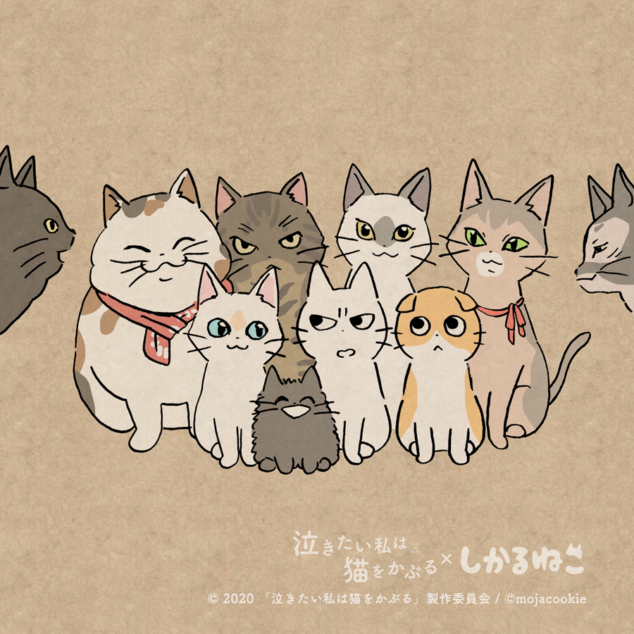 太郎と 泣き猫の仲間たちと
しかるねこと あまやかすねこと ながめるねこ
#泣きたい私は猫をかぶる #泣き猫 #PR
@nakineko_movie 