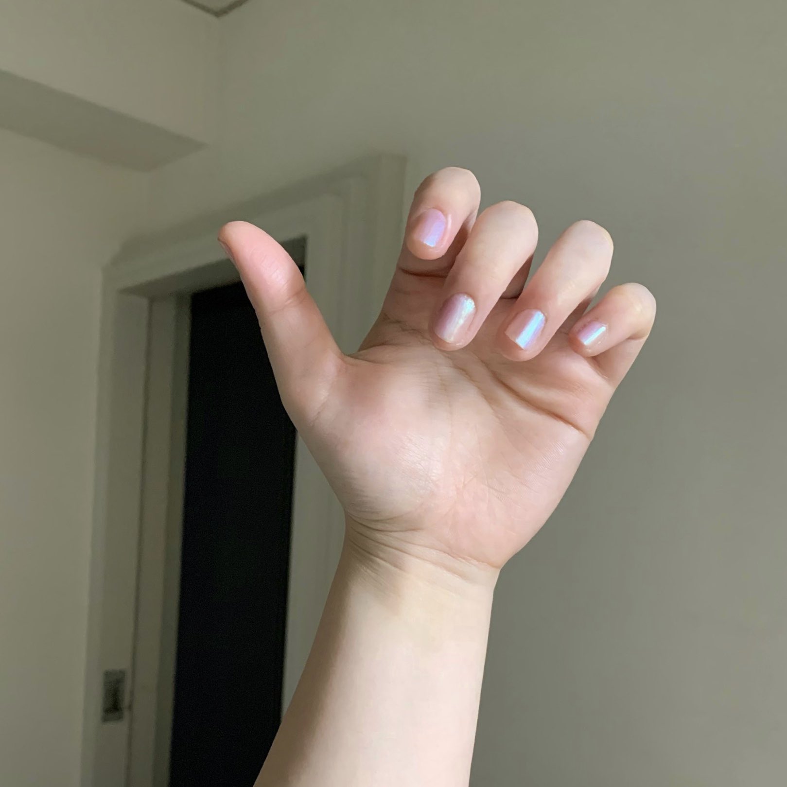 柔肌 在 Twitter 上 昨日寝る前に塗ったオーロラネイルが朝も可愛い 普段ネイルしないから朝起きて見たらニコニコしてしまった キャンメイクのミスティドリームとデュカートのオパールルックコート 縦割りネイルをやってみたくて仕事帰り買って落ちそうになり