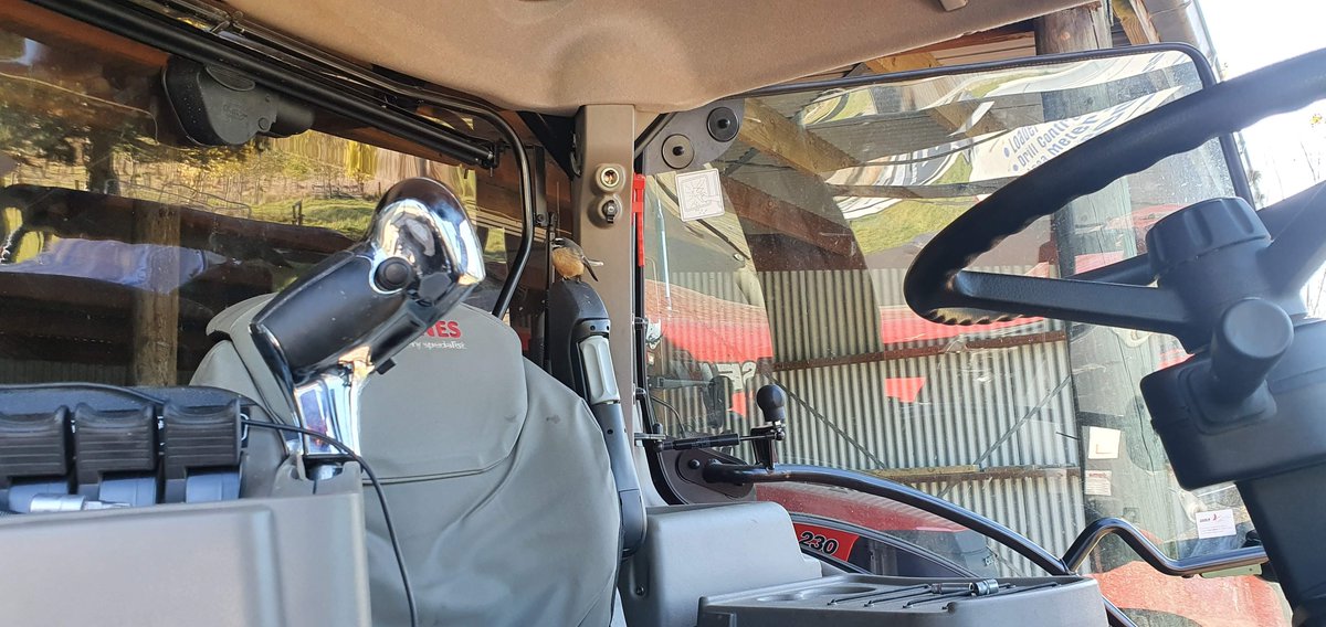 TotalAgControl's tweet image. 🚜 Yesterday Tony was out on a beautiful day fitting @topconag  @RDS_Technology loader scales in Klondyke. He even had a little helper in the cab with him while the bellbirds were singing outside 🐦
#nzfarming #precisionag #agriculture #farming #ruralnz #newzealandfarming