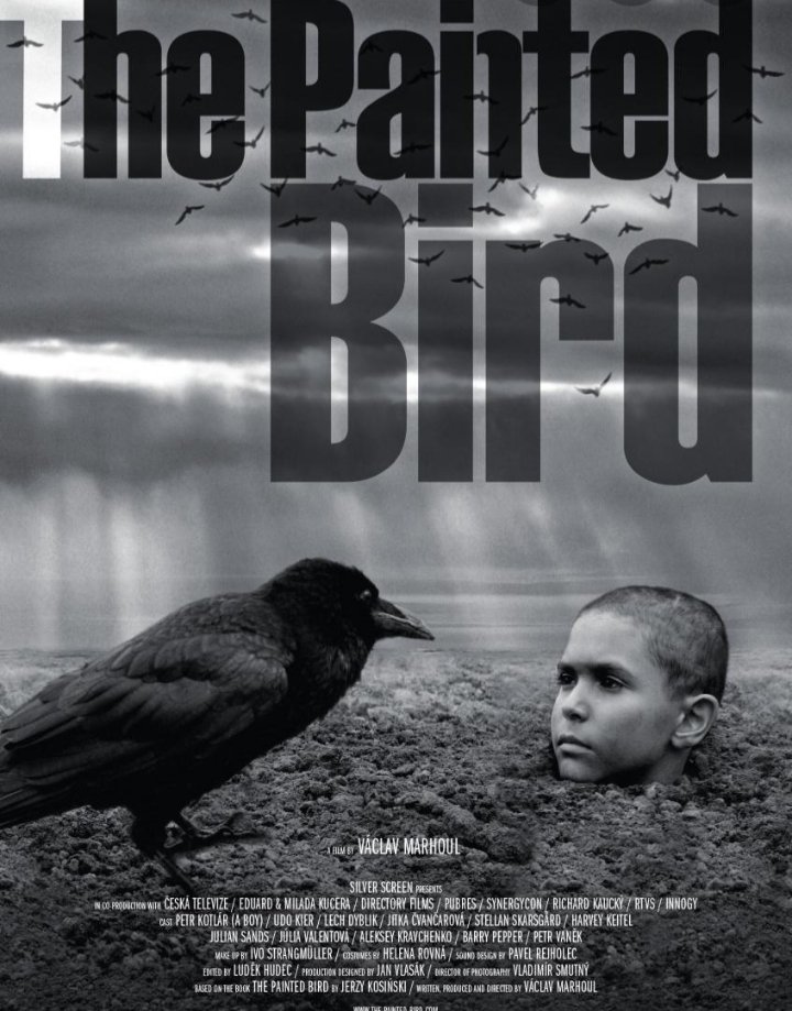 73. THE PAINTED BIRD (2019) -- Kisah suram seorang bocah yahudi menghadapi serangkaian kebrutalan tentara nazi, eksploitasi dan pelecehan. Ada benarnya kalau film yang berdurasi hampir 3 jam dengan konsep b&w ini telah merevolusi standar film-film menjijikkan ala Salò (1975).