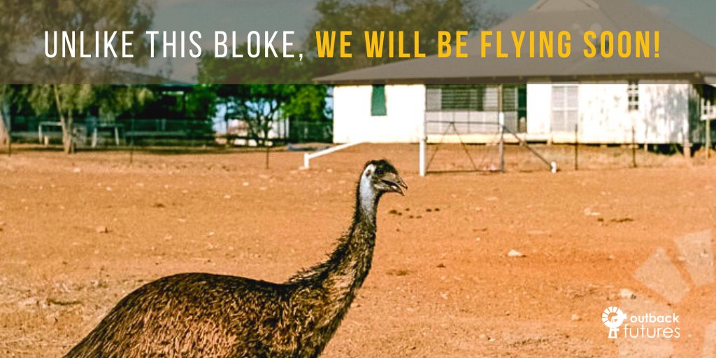 Like our emu friends, COVID-19 has kept us grounded. Now travel restrictions have eased, we're talking with our outback communities and planning face-to-face clinics for the coming months. We're working together to decide when it's safe to visit, and we'll see you soon!