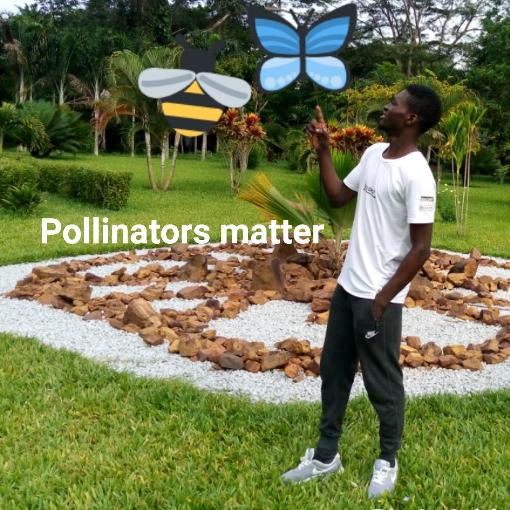 Todota Christian tweet media